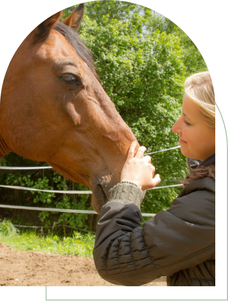 energiearbeit-tiere